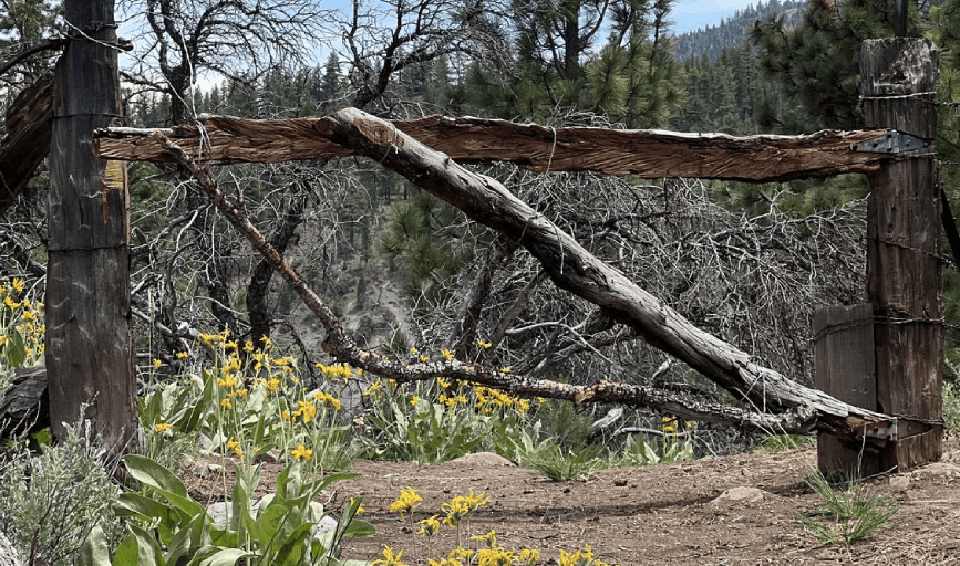 FENCE REMOVAL SERVICE